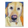 Trademark Fine Art Spenser by Pat Saunders-White, 18x24-Inch view 1