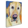 Trademark Fine Art Spenser by Pat Saunders-White, 18x24-Inch view 2