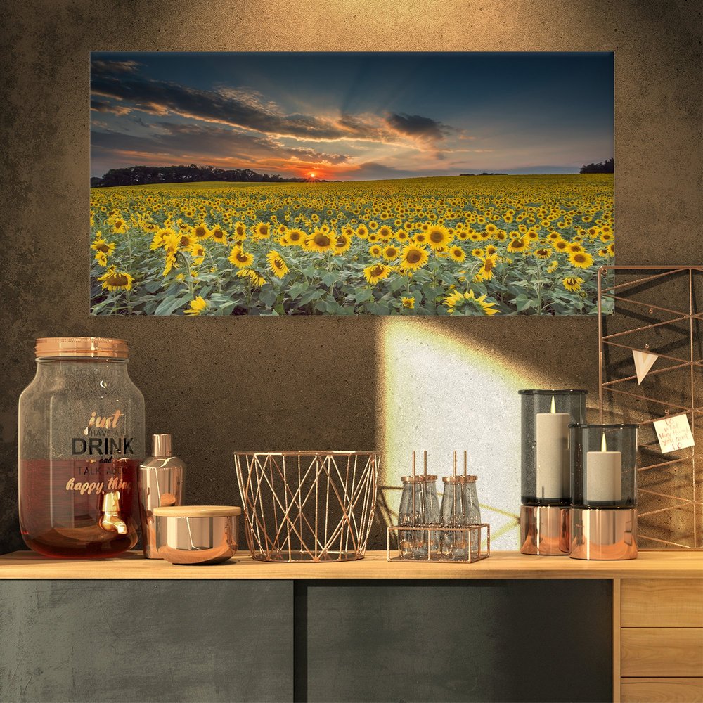 Designart Sunflower Sunset with Cloudy Sky Large Landscape Canvas Art