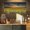 Designart Sunflower Sunset with Cloudy Sky Large Landscape Canvas Art view 1