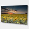 Designart Sunflower Sunset with Cloudy Sky Large Landscape Canvas Art view 2