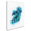 Trademark Fine Art Ireland Map Paint Splashes by Michael Tompsett, 18x24-Inch view 2