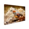 Trademark Fine Art LBR0310-C1824GG Hurrying Quail by Lois Bryan Wall Dcor, 18x24" view 2