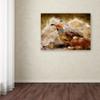 Trademark Fine Art LBR0310-C1824GG Hurrying Quail by Lois Bryan Wall Dcor, 18x24" view 3