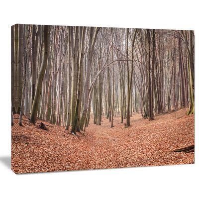 Designart PT14006-20-12 Leaves in The Thick Fall Large Forest Canvas Art, 12" H x 20" W x 1" D 1P