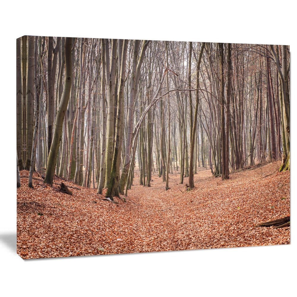 Designart PT14006-20-12 Leaves in The Thick Fall Large Forest Canvas Art, 12" H x 20" W x 1" D 1P