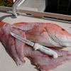 Dexter Outdoors Dexter-Russell 24583 SofGrip 6" Flexible Fishing Equipment, White view 4