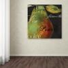 Trademark Fine Art ALI4276-C1818GG "Painted Pear I" Dcor, 18x18" view 3