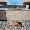 Caroline's Treasures 7509RUG Wheaten Terrier Soft Coated Machine Washable Memory Foam Mat, Bathroom Rug, Non-Slip Bath Mat, Durable Thick Washable Rugs for Kitchen, Bathroom Quick Dry, Decorative Artw view 3