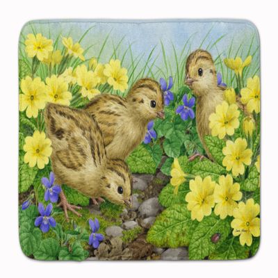 Caroline's Treasures ASA2177RUG Pheasant Chicks Machine Washable Memory Foam Mat, Bathroom Rug, Non-Slip Bath Mat, Durable Thick Washable Rugs for Kitchen, Bathroom Quick Dry, Decorative Artwork,