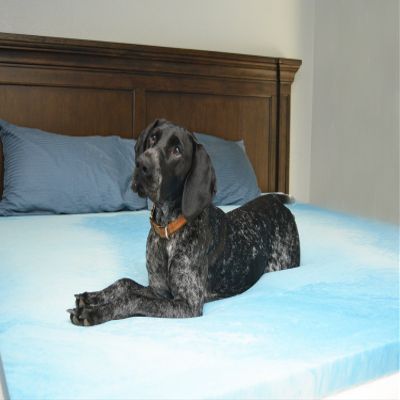 Sleep Obsession 2" Gel Swirl Memory Foam Mattress Topper King