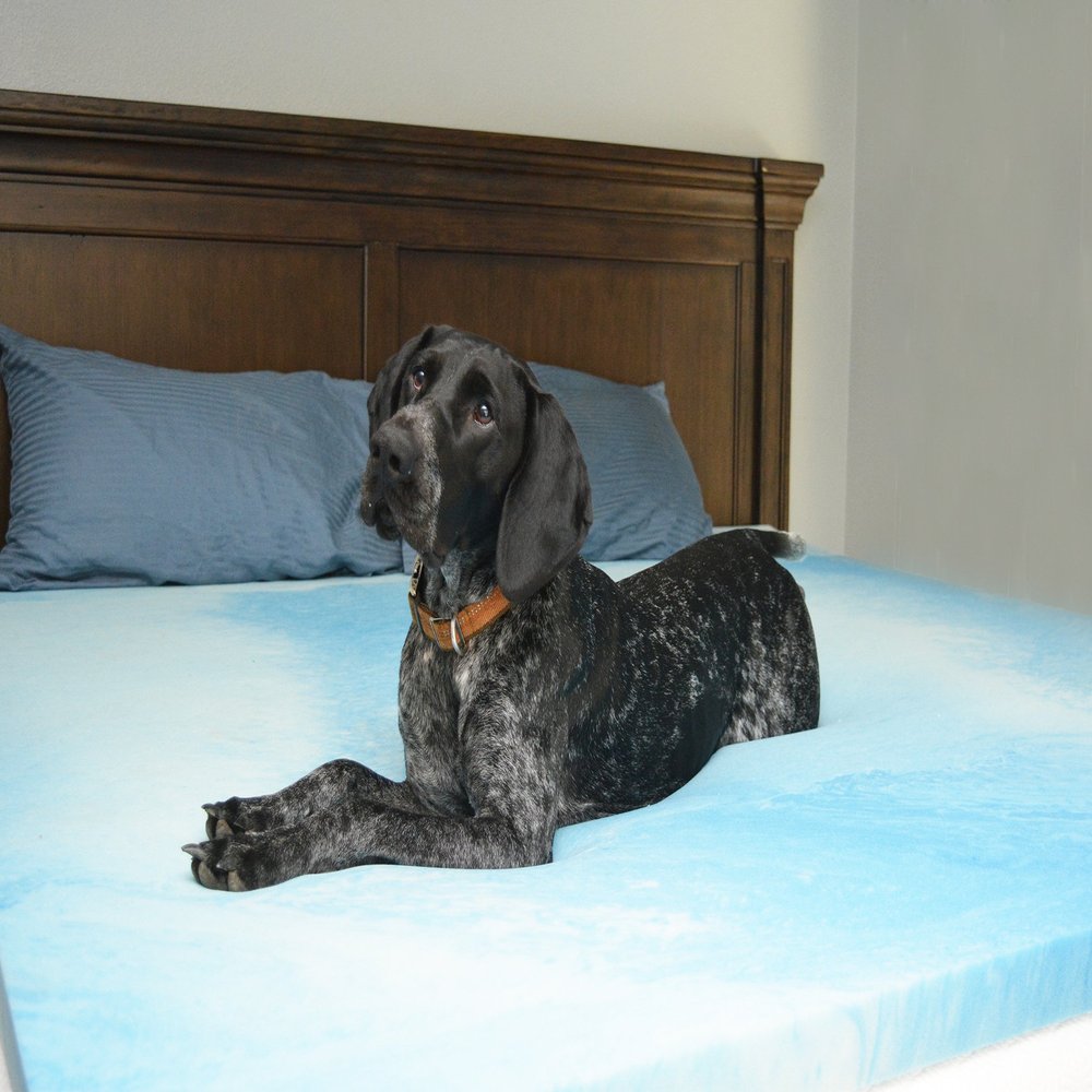 Sleep Obsession 2" Gel Swirl Memory Foam Mattress Topper King