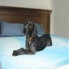 Sleep Obsession 2" Gel Swirl Memory Foam Mattress Topper King view 1