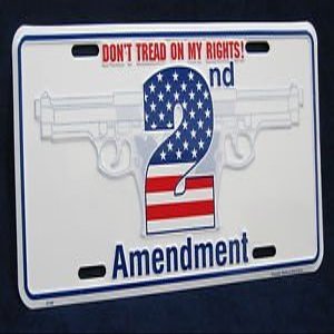 2nd Second Amendment Gun WarningUS Made Embossed Metal License Plate Tag Sign