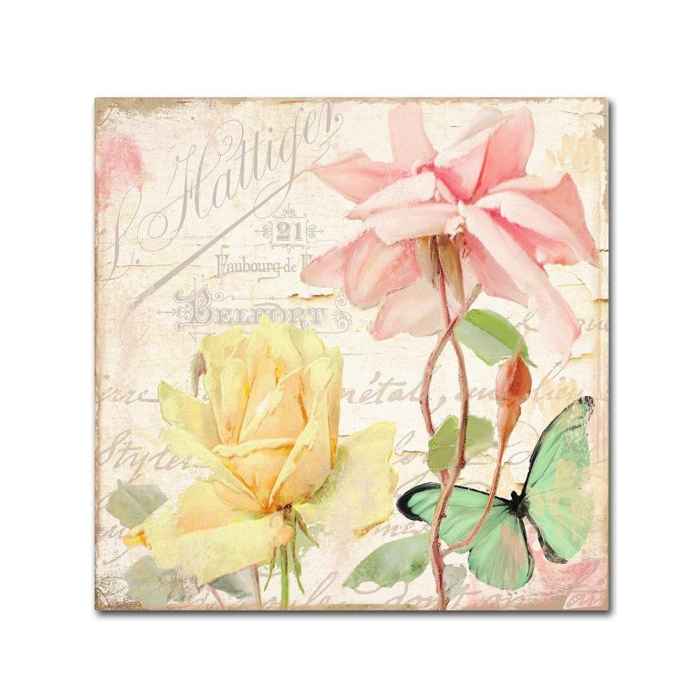 Trademark Fine Art ALI4627-C1818GG "Florabella IV" Decor, 18x18"