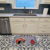 Caroline's Treasures BB2843RUG Dog House Collection Shih Tzu Black Silver Machine Washable Memory Foam Mat, Bathroom Rug, Non-Slip Bath Mat, Durable Thick Washable Rugs for Kitchen, Bathroom Quick Dry view 3