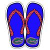 Florida Gators Magnet view 1