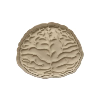 Brain Fondant Cookie Cutter AND Stamp #1634