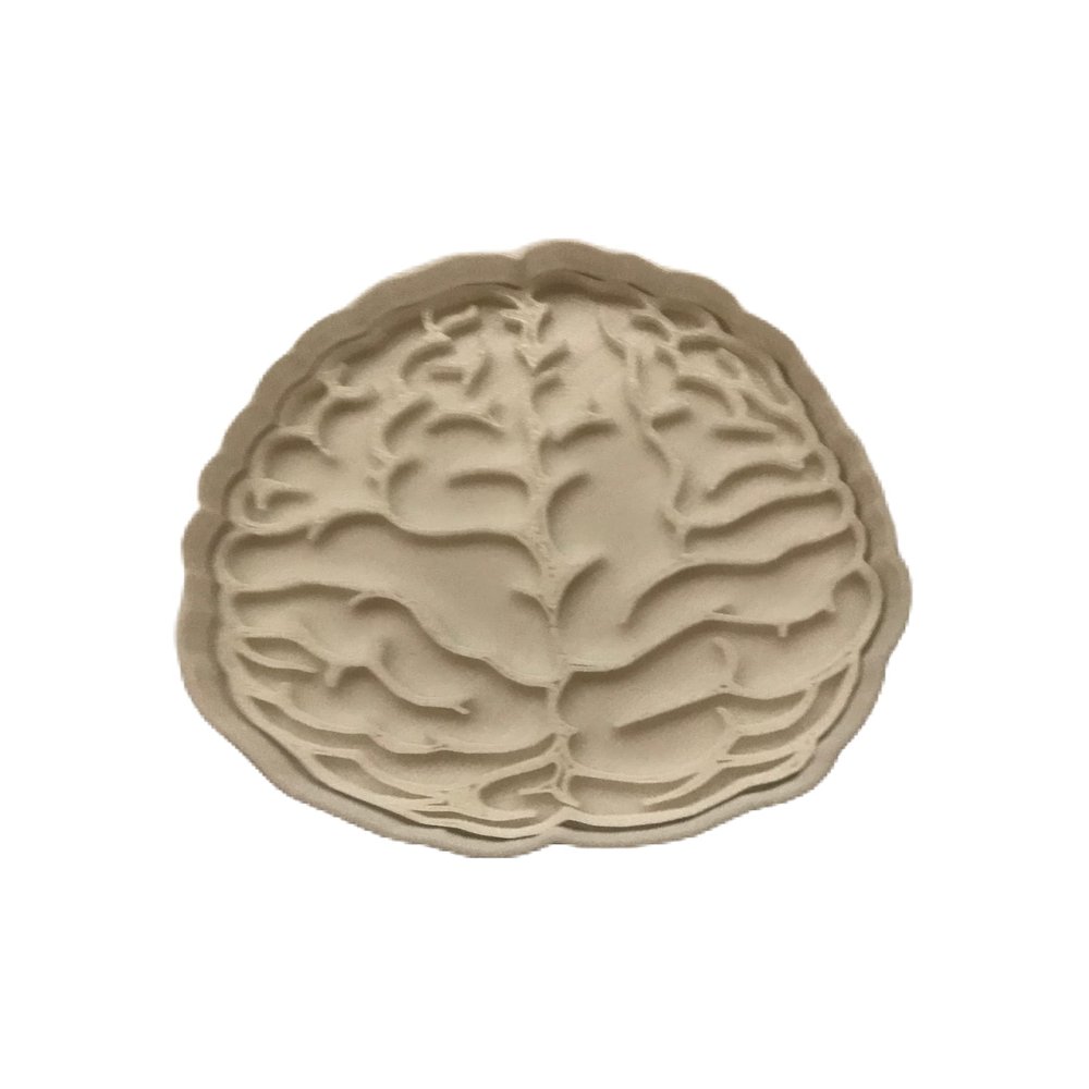 Brain Fondant Cookie Cutter AND Stamp #1634