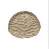 Brain Fondant Cookie Cutter AND Stamp #1634 view 1