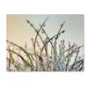 Trademark Fine Art Dewy Grass by Cora Niele, 18x24-Inch view 1