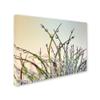 Trademark Fine Art Dewy Grass by Cora Niele, 18x24-Inch view 2