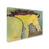 Trademark Fine Art Waiting for Sunrise by Pat Saunders-White, 18x24-Inch view 2