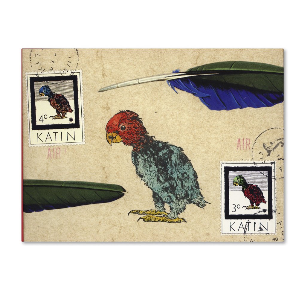 Trademark Fine Art Katin Parrot by Nick Bantock, 18x24-Inch