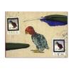 Trademark Fine Art Katin Parrot by Nick Bantock, 18x24-Inch view 1