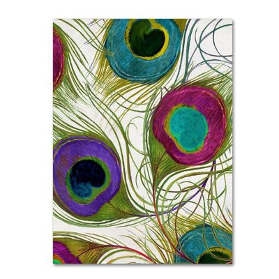 Trademark Fine Art ALI4253-C1824GG "Peacock Feathers I" Dcor, 18x24"