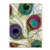 Trademark Fine Art ALI4253-C1824GG "Peacock Feathers I" Dcor, 18x24" view 1