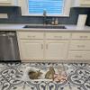 Caroline's Treasures ASA2181RUG Winter Rabbits Machine Washable Memory Foam Mat, Bathroom Rug, Non-Slip Bath Mat, Durable Thick Washable Rugs for Kitchen, Bathroom Quick Dry, Decorative Artwork, view 3