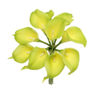 Angel Isabella Lot of 60-Real Touch Calla Lilies (Green)