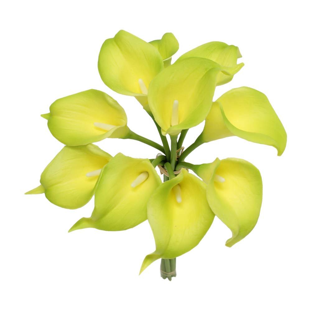 Angel Isabella Lot of 60-Real Touch Calla Lilies (Green)