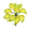 Angel Isabella Lot of 60-Real Touch Calla Lilies (Green) view 1