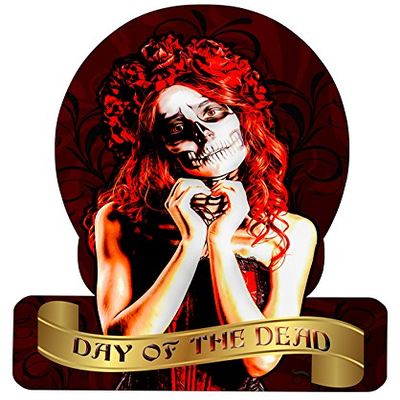12 X 15 Helmet Metal Sign Skull Girl
