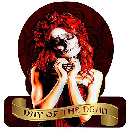 12 X 15 Helmet Metal Sign Skull Girl