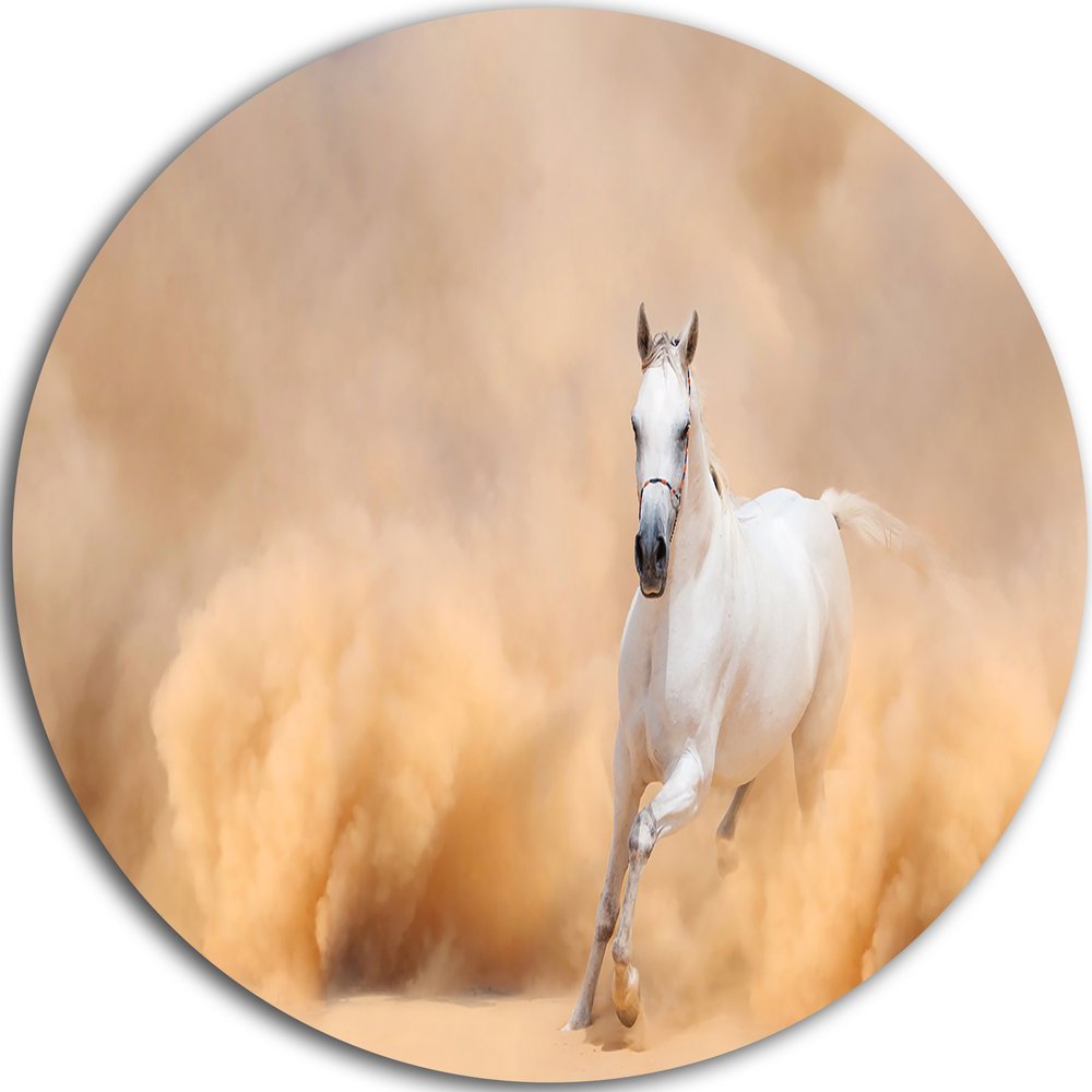 Designart MT6469-C23 Wall Art-Disc of 23 inch, 23'' H x 23'' W x 1'' D 1P, Tan/White