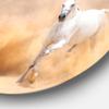 Designart MT6469-C23 Wall Art-Disc of 23 inch, 23'' H x 23'' W x 1'' D 1P, Tan/White view 3