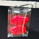 50 PCS 4-1/4 x 4-1/4 x 1-1/4 Plastic Pillow Box with Hanger