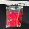 50 PCS 4-1/4 x 4-1/4 x 1-1/4 Plastic Pillow Box with Hanger view 1