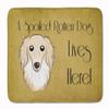 Caroline's Treasures BB1460RUG Longhair Creme Dachshund Spoiled Dog Lives Here Machine Washable Memory Foam Mat, Bathroom Rug, Non-Slip Bath Mat, Durable Thick Washable Rugs for Kitchen, Bathroom Quic view 1