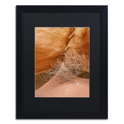 Trademark Fine Art Tumbleweed by Michael Blanchette Photography, Black Matte, Black Frame 16x20-Inch
