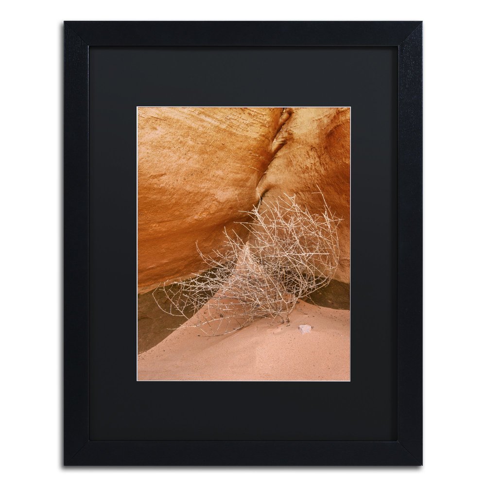 Trademark Fine Art Tumbleweed by Michael Blanchette Photography, Black Matte, Black Frame 16x20-Inch