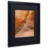 Trademark Fine Art Tumbleweed by Michael Blanchette Photography, Black Matte, Black Frame 16x20-Inch view 2