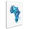 Trademark Fine Art Paint Splashes Map of Africa by Michael Tompsett, 18x24-Inch view 2