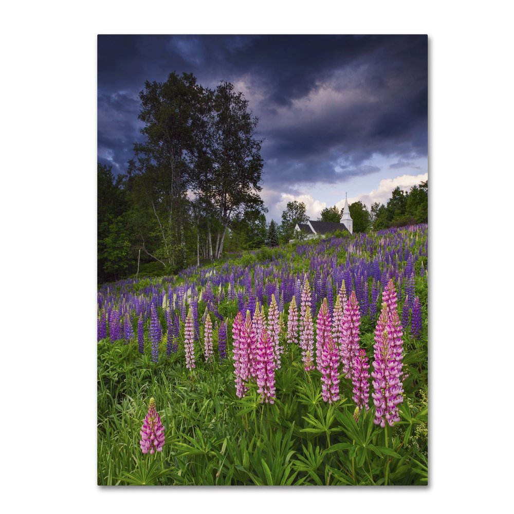 Lupines on the Hill by Michael Blanchette Photography, 18x24-Inch Canvas Wall Art
