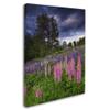 Lupines on the Hill by Michael Blanchette Photography, 18x24-Inch Canvas Wall Art view 2
