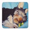 Caroline's Treasures AMB1075RUG Naptime Yorkie Yorkshire Terrier Machine Washable Memory Foam Mat, Bathroom Rug, Non-Slip Bath Mat, Durable Thick Washable Rugs for Kitchen, Bathroom Quick Dry, Decorat view 1