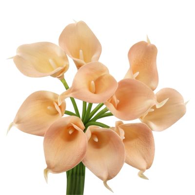 Angel Isabella Lot of 60 Pieces-Real Touch Keepsake Artificial Calla Lilies (Peach-Shell)